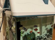 Akvarium