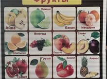 Tədris üçün lövhələr