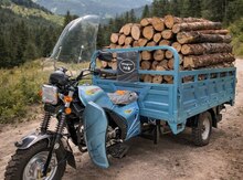 Moped, 2025 il