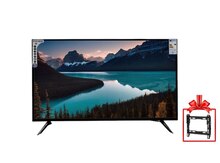 Televizor Ficher 43D20