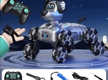 Oyuncaq robot
