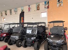 Golfcar golf car 2025 il