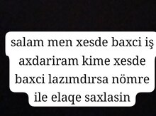 Baxıcı işi axtarıram