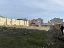 8 sot torpaq sahəsi, Saray qəs.