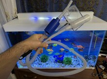 Akvarium və balıqlar