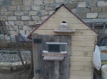 İt yuvası