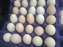 Kənd yumurtası
