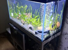 Akvarium