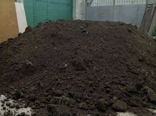 Qara torpaq