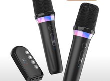 DS K2 karaoke mikrofonu