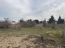 4 sot torpaq sahəsi, Görədil qəs.