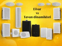 Divar dinamikləri