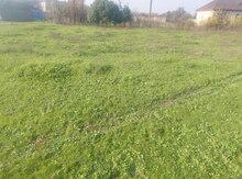 6 sot torpaq sahəsi, Masallı r.