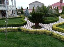 Qazon