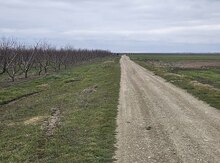 Земельный участок 101 сот, р. Гусар