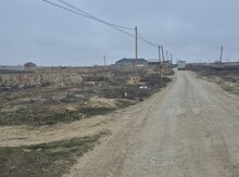12 sot torpaq sahəsi, Saray qəs.