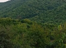 12 sot torpaq sahəsi, Qəbələ r.