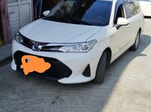 Toyota Corolla, 2019 il