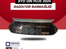 BYD QinPlus radiator barmaqlığı