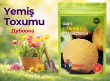 Yemiş toxumu