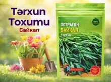 Tərxun toxumu