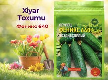 Xiyar toxumu