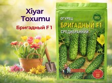 Xiyar toxumu