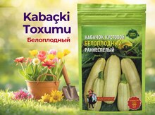 Kabaçki toxumu