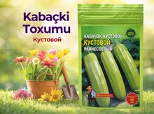 Kabaçki toxumu