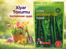 Xiyar toxumu