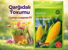 Qarğıdalı toxumu