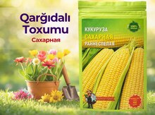 Qarğıdalı toxumu
