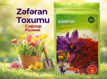 Zəfəran toxumu