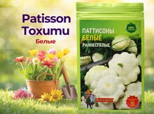 Patisson toxumu