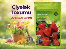 Çiyələk toxumu