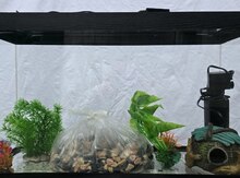 Akvarium dəsti