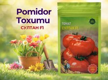 Pomidor toxumu