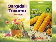 Qarğıdalı toxumu