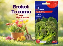Brokoli toxumu