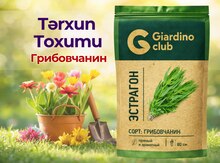 Tərxun toxumu