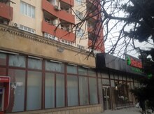 Qaraj icarəyə verilir, 8 Noyabr pr.