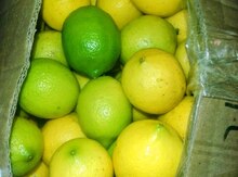 Limon