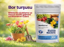 Bor turşusu
