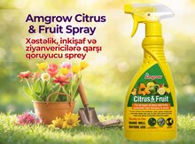 Amgrow Citrus & Fruit Spray