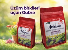Üzüm üçün suda həll olan gübrə