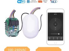 Ağıllı Qaraj Qapısı İdarəetmə Modulu, WiFi + RF