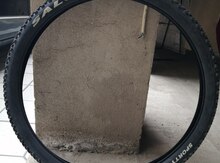 Velosiped şini
