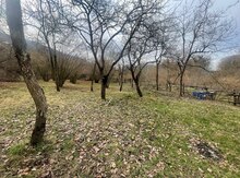 4 sot torpaq sahəsi, Zaqatala r.