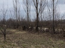 Земельный участок 12 сот, Село Гьсангала