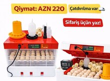 İnkubatorlar